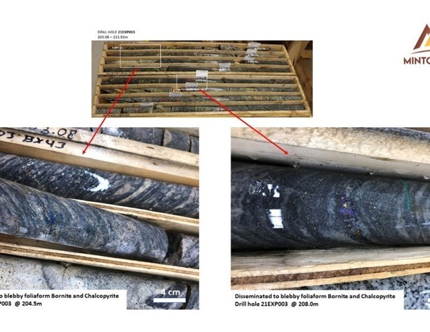 Figure 5.  Highlighted core images of bornite (violet) and chalcopyrite (yellow) mineralization from drill hole 21EXP003. (CNW Group/Minto Metals Corp.)